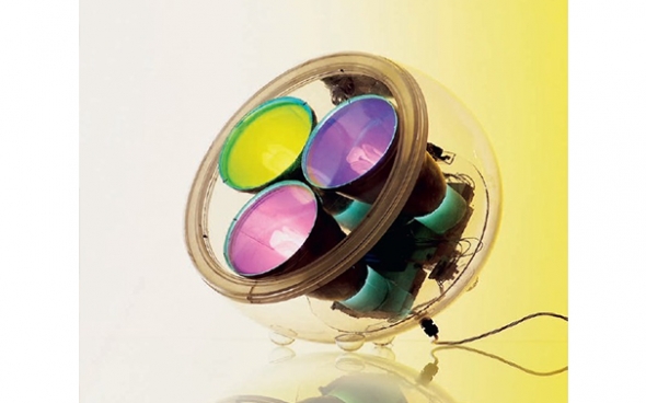 ARTEMIDE YANG